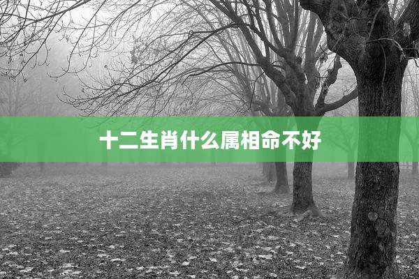 十二生肖什么属相命不好