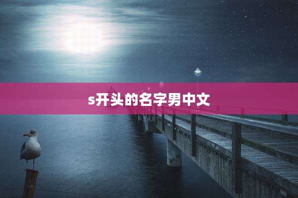 s开头的名字男中文