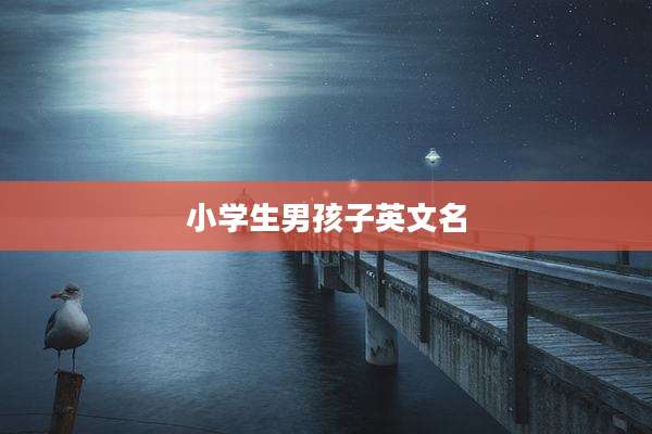 小学生男孩子英文名