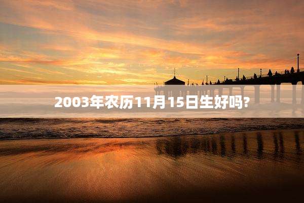 2003年农历11月15日生好吗?