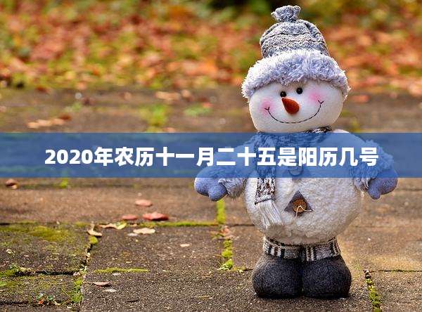 2020年农历十一月二十五是阳历几号
