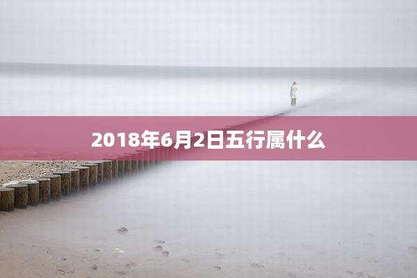 2018年6月2日五行属什么
