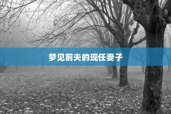 梦见前夫的现任妻子