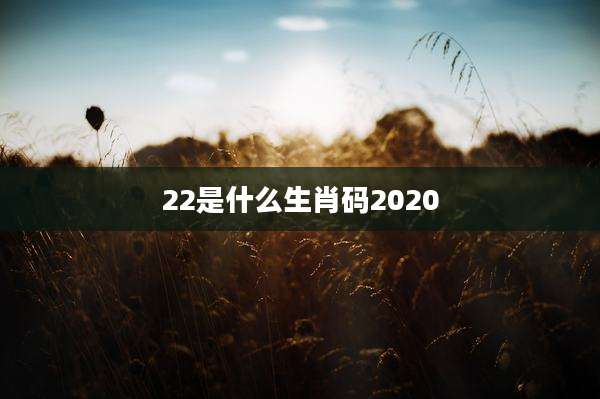 22是什么生肖码2020