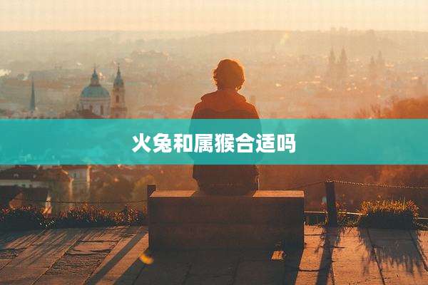 火兔和属猴合适吗