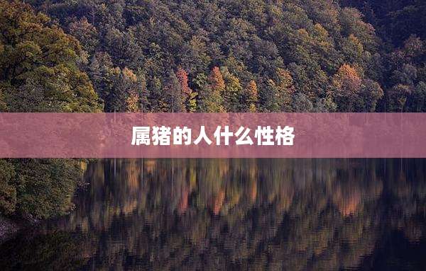 属猪的人什么性格