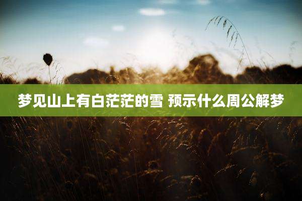 梦见山上有白茫茫的雪 预示什么周公解梦