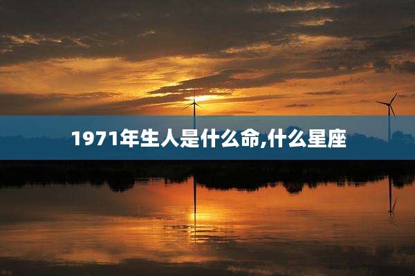 1971年生人是什么命,什么星座