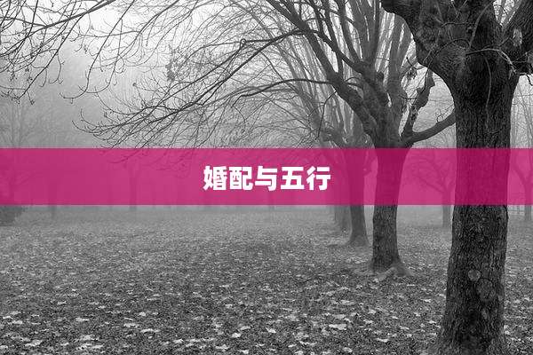 婚配与五行