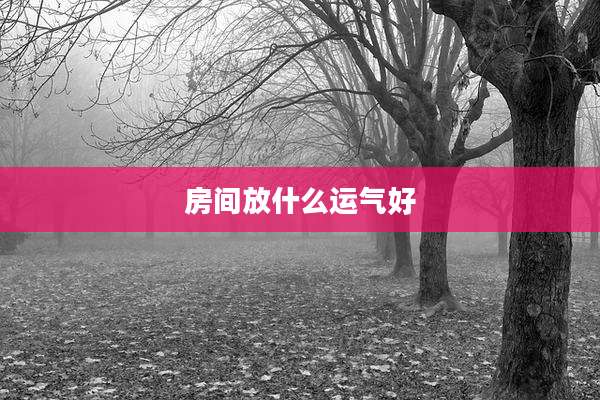 房间放什么运气好