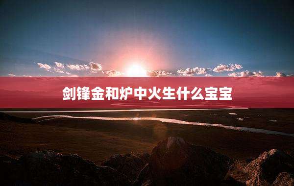 剑锋金和炉中火生什么宝宝