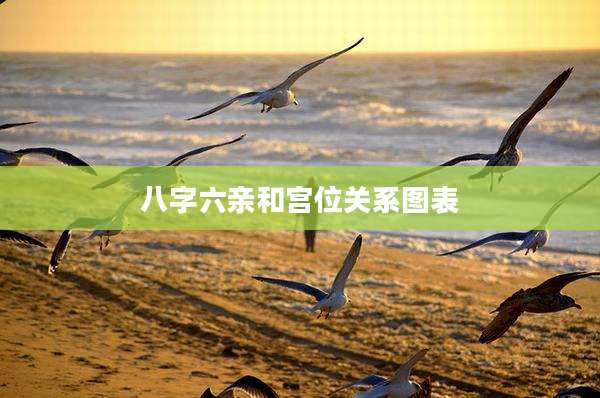 八字六亲和宫位关系图表
