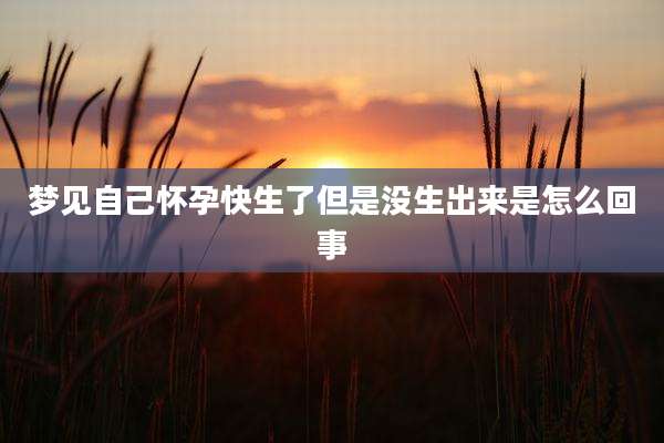 梦见自己怀孕快生了但是没生出来是怎么回事