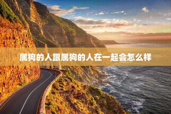 属狗的人跟属狗的人在一起会怎么样