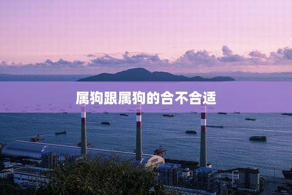 属狗跟属狗的合不合适