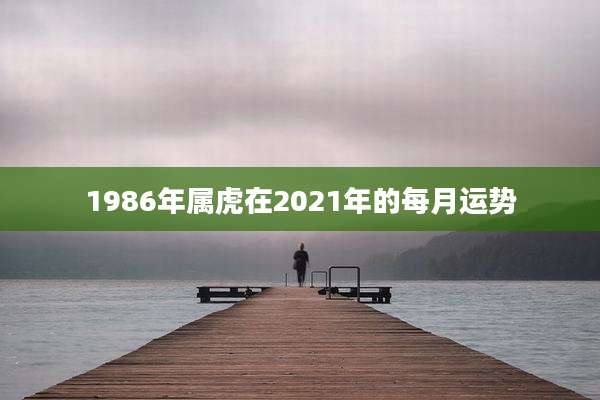 1986年属虎在2021年的每月运势