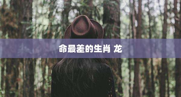 命最差的生肖 龙