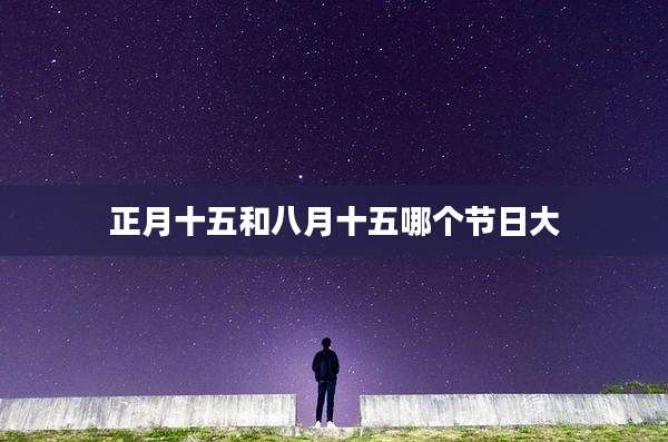正月十五和八月十五哪个节日大