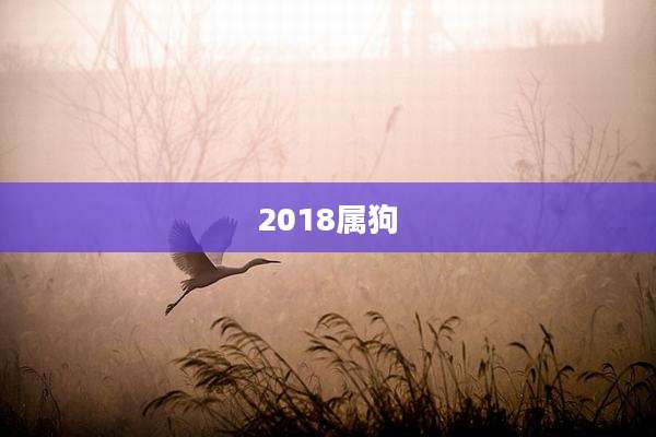 2018属狗