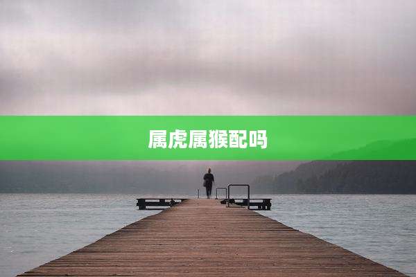 属虎属猴配吗