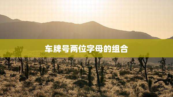 车牌号两位字母的组合