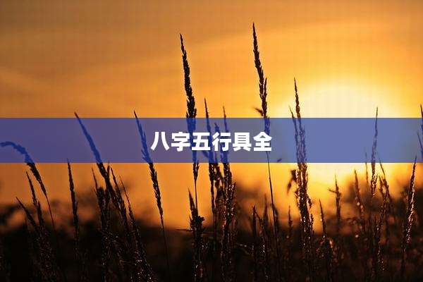 八字五行具全