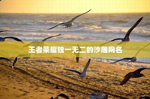 王者荣耀独一无二的沙雕网名