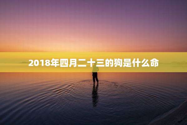 2018年四月二十三的狗是什么命