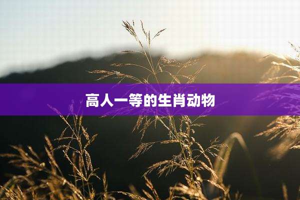 高人一等的生肖动物