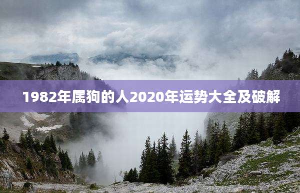 1982年属狗的人2020年运势大全及破解