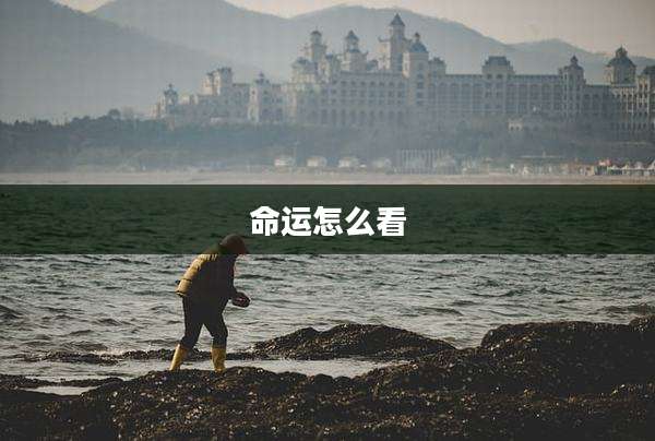 命运怎么看