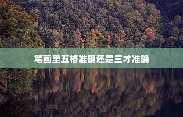 笔画里五格准确还是三才准确