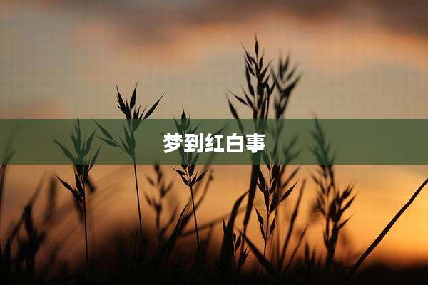 梦到红白事