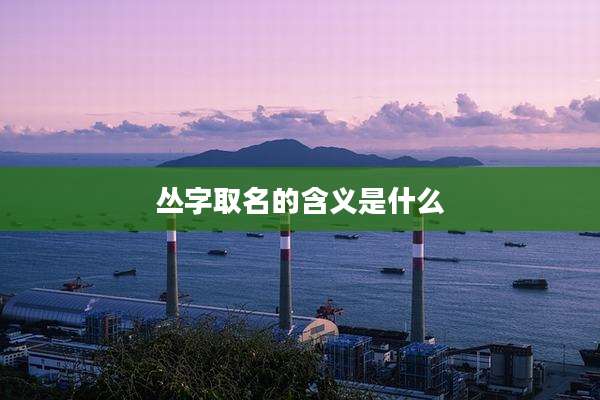 丛字取名的含义是什么