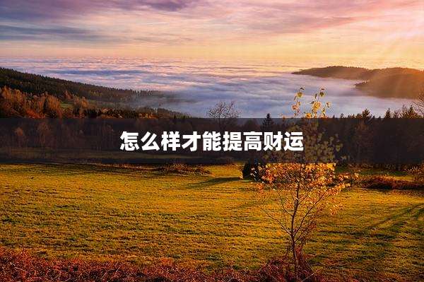 怎么样才能提高财运