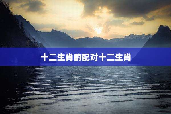十二生肖的配对十二生肖