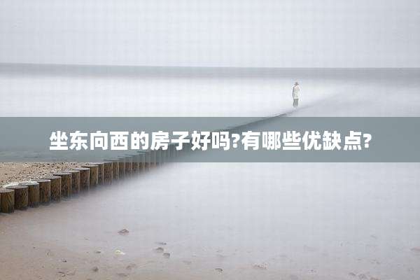 坐东向西的房子好吗?有哪些优缺点?
