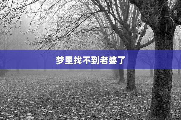 梦里找不到老婆了
