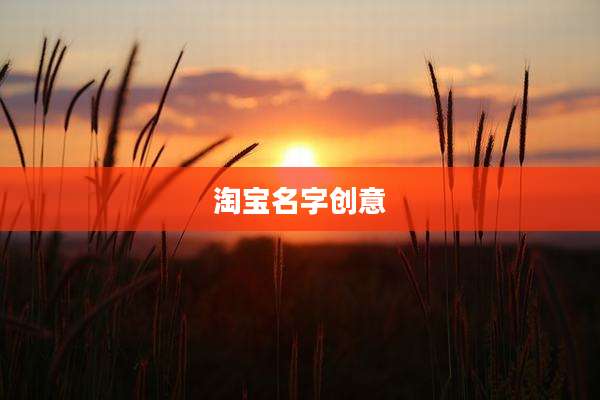 淘宝名字创意