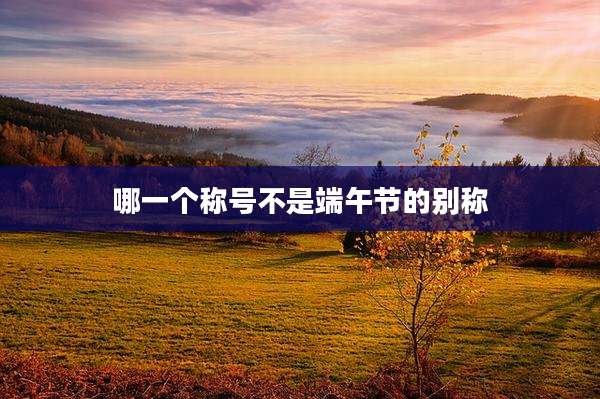 哪一个称号不是端午节的别称