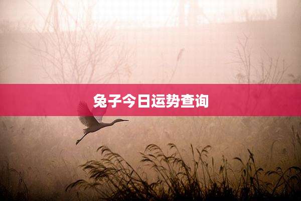 兔子今日运势查询