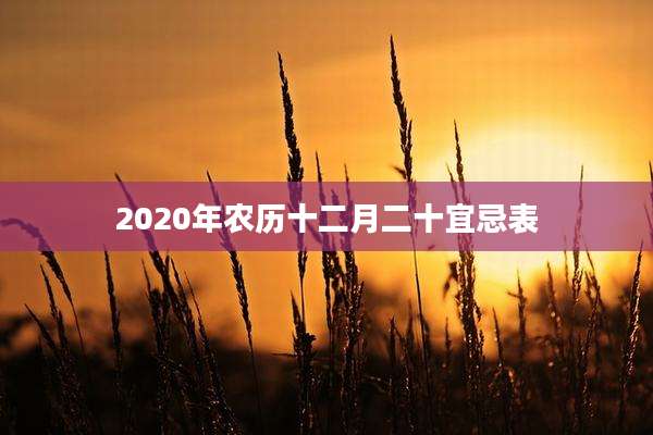2020年农历十二月二十宜忌表