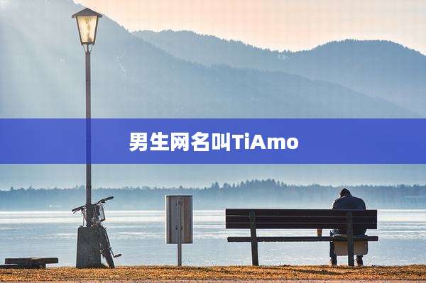 男生网名叫TiAmo