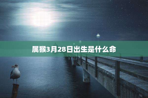属猴3月28日出生是什么命