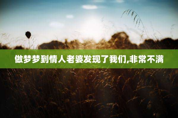 做梦梦到情人老婆发现了我们,非常不满