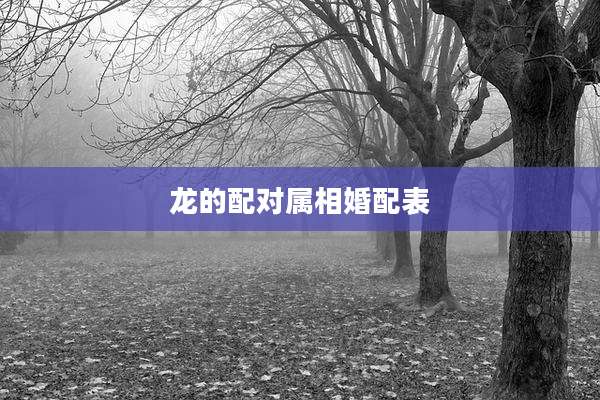 龙的配对属相婚配表