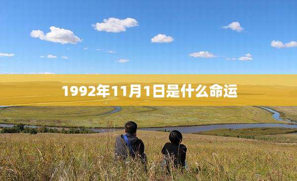 1992年11月1日是什么命运