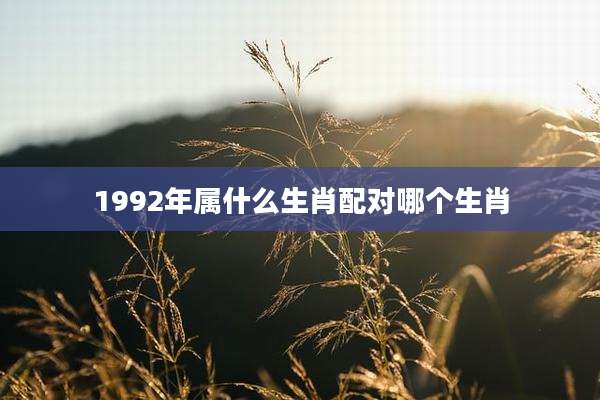 1992年属什么生肖配对哪个生肖