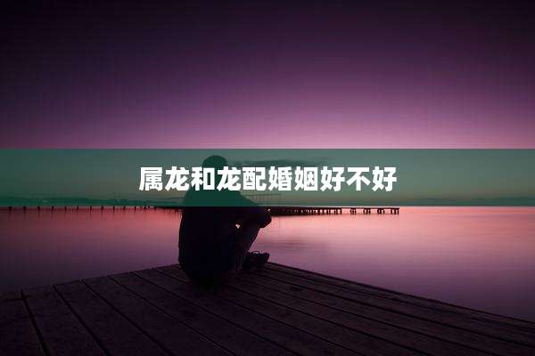属龙和龙配婚姻好不好