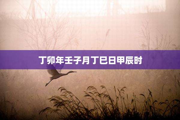 丁卯年壬子月丁巳日甲辰时
